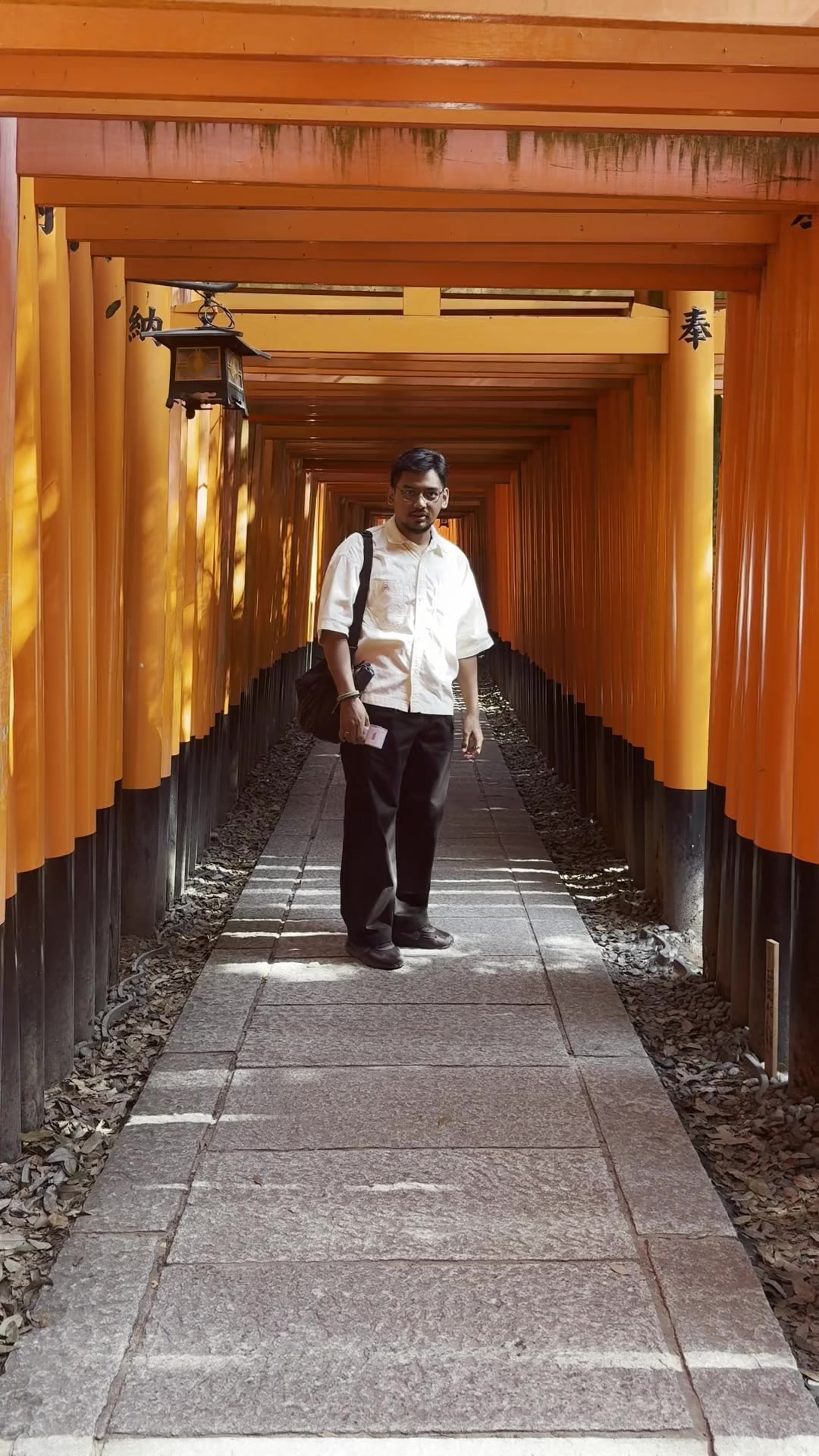 Rusardi in the torii gates at Fushimi Inari, Kyoto